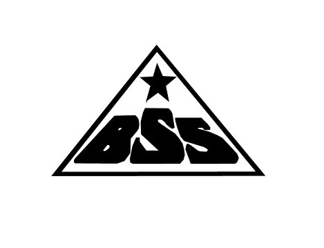 BSS